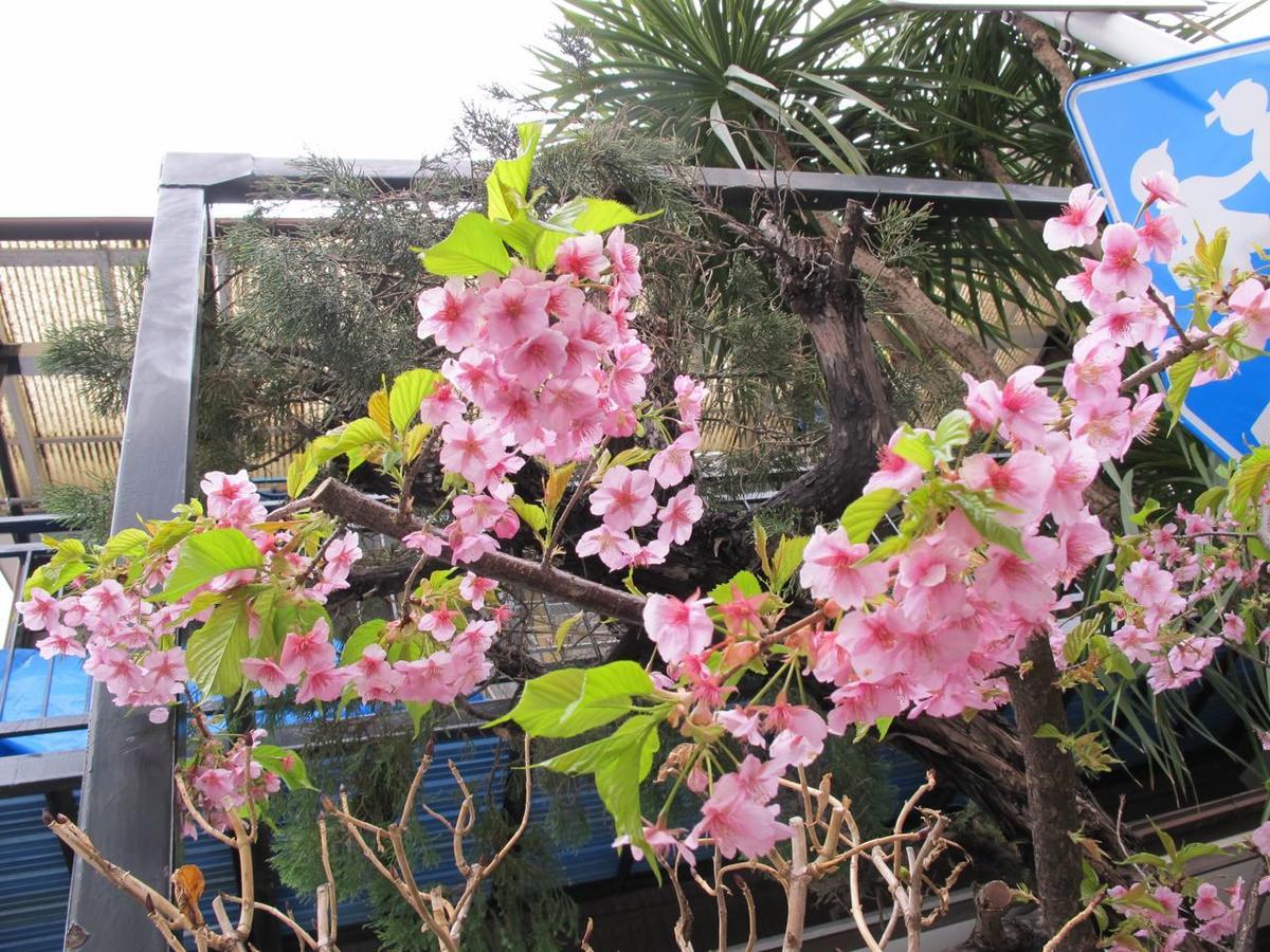 מלון Kawasaki Share House מראה חיצוני תמונה